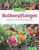 Balkonpflanzen: Pflanzenporträts und kreative Gestaltungsideen