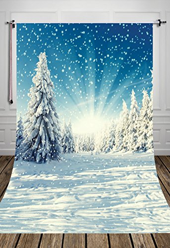 NIVIUS PHOTO 150*220cm Winter im Freien Szene gedruckt Weihnachten Fotografie Kulisse für Weihnachten Foto Studio Neugeborenen D-2396