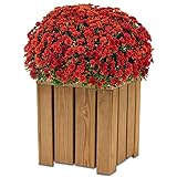 Coemo Blumenkasten Holz Riga klein - Pflanzkübel aus Holz Pflanzkasten Kräuterbeet - Blumenkübel für draussen - Blumen Kräuter Gemüse Obst- Alles für den Balkon, Terrasse und vielem mehr