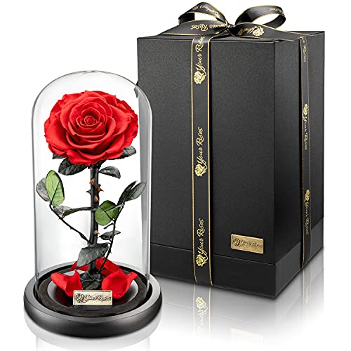 YourRoses® echte Premium Rose im Glas mit Einer wunderschönen Geschenkbox | Lange Haltbarkeit & edles Geschenk als Liebesbeweis | EIN Geschenk vom Herzen