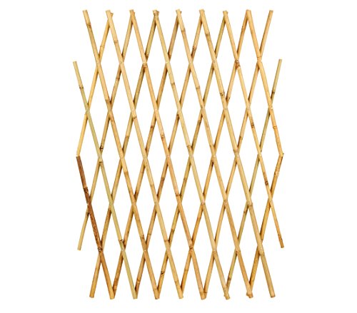 Dehner Variables Bambusspalier, ca. 255 x 85 cm, Bambus, Natur