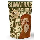 Orang-Utan Sumatra Arabica Kaffee Bohne 500 g
