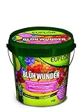 Euflor Blühwunder 1 kg Eimer • sorgt für reiche Blütenfülle und gesunde grüne Blätter • NPK-Dünger 15+10+15 mit 2% MgO + Eisen und Spurennährstoffen • Spezialdünger
