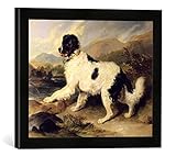 Gerahmtes Bild von Sir Edwin Henry Landseer Newfoundland Dog Called Lion, 1824', Kunstdruck im hochwertigen handgefertigten Bilder-Rahmen, 40x30 cm, Schwarz matt