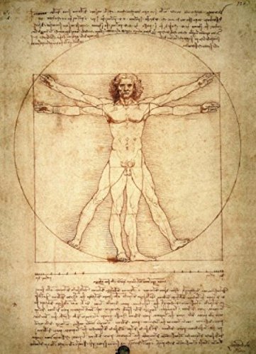 1art1 Leonardo Da Vinci Vitruvianischer Mensch, Circa 1490, 2-Teilig Selbstklebende Fototapete Poster-Tapete 250x180 cm