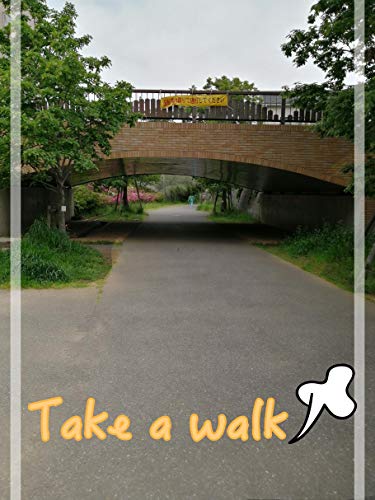 Take a walk: photo album (English Edition)