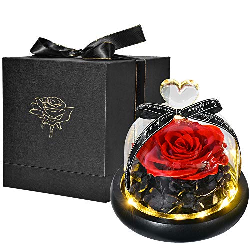 HelaCueil Ewige Rose im Glas, schöne und das Biest Rose with LED Light and Gift Box Muttertagsgeschenk