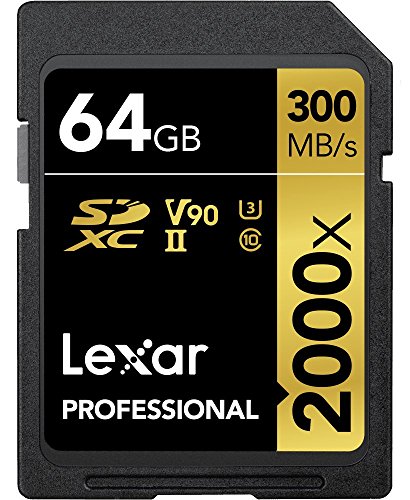 Lexar Professional 2000x SD Karte 64GB, SDXC UHS-II Speicherkarte ohne Lesegerät, Bis Zu 300MB/s Lesen, für DSLR, Videokameras in Kinoqualität (LSD2000064G-BNNAG)