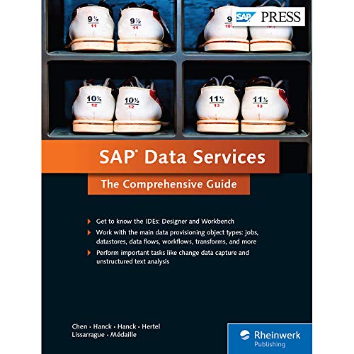 SAP Data Services: The Comprehensive Guide (SAP PRESS: englisch)