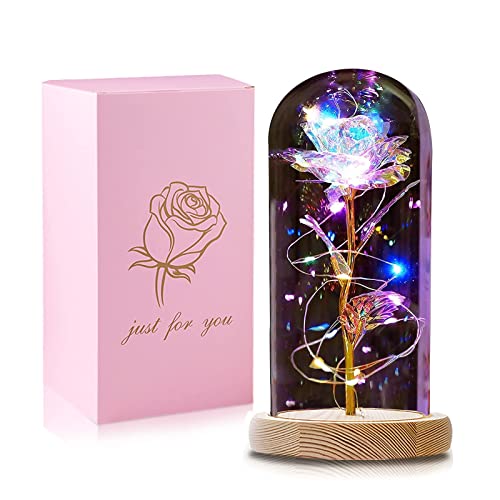 QUNPON Geschenke für Frauen Ewige Rose im Glas Die Schöne und das Biest Rose in Glaskuppel mit LED-Lichter Künstliche Blumen Rose Geschenke für Weihnachten Geburtstag Mama Freundin Oma