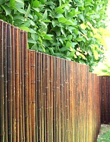 DE-COmmerce Robuster Bambus Holz Sicht Schutz Zaun ATY NIGRA hochwertiger Windschutz Terrasse, Balkon, Garten Bambusrohr Zaun mit geschlossenen Rohren (HxB) 200 cm x 180 cm