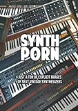Synth Porn - Just a ton of explicit images of sexy vintage synthesizers - photo book