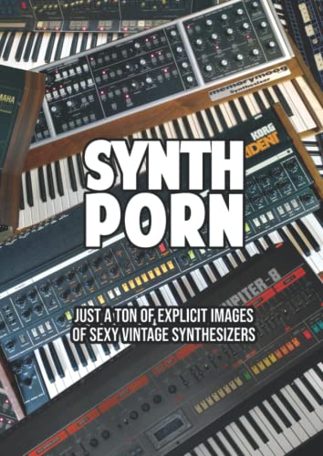 Synth Porn - Just a ton of explicit images of sexy vintage synthesizers - photo book