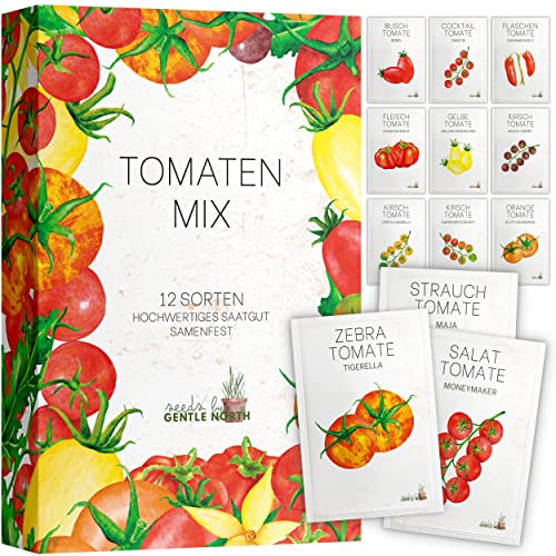Tomaten Samen Set - 12 Tomatensamen Sorten in Samentütchen für die eigene Anzucht - Samenfestes Saatgut frei von Chemie & Gentechnik