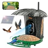 Lollyes Vogelfutterspender mit Kamera, Vogelhaus Kamera mit Solar, Wiederaufladbare Solar-Vogelfutterstation, Smart Bird Feeder Camera für Draußen, Vogelliebhaber