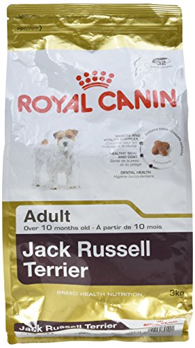 ROYAL CANIN Jack Russel Adult 3 kg, 1er Pack (1 x 3 kg)