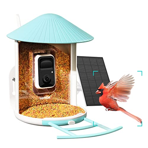 NETVUE Vogelfutterspender, Vogelhaus Kamera, Futterstationen für Wildvögel, Vogelfutterstantion mit Kamera Video Automatisch Aufnehmen, Vogelhäuschen Kamera mit AI Erkennung Vogelarten (Birdfy+Solar)
