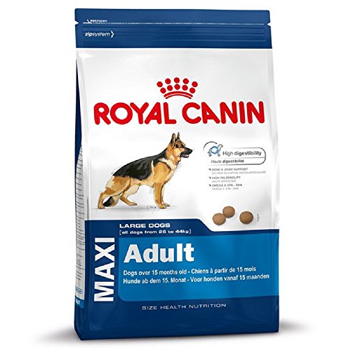 ROYAL CANIN Maxi-Adult Trockenfutter für große Hunde (26–45 kg) – Paket mit 2 x 15 kg
