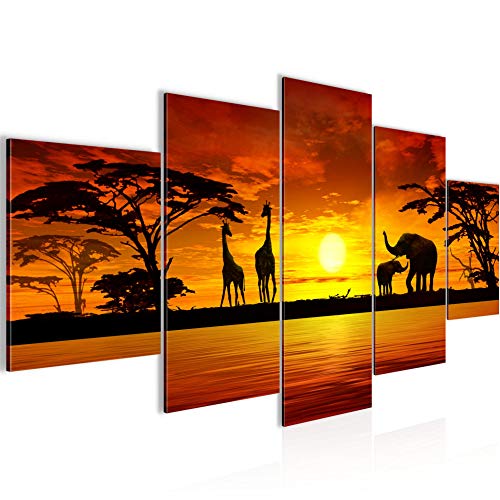 Afrika Sonnenuntergang Bild auf Vlies Leinwand 5 Teilig Savanne Grau Orange Wandbilder Schlafzimmer 000253a