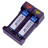 Packung mit 2 Minidisk CD Walkman Gumstick 7/5 F6 Akkus und USB-Ladegerät – 1,2 V 1400 mAh NI-MH (F6 Ladegerät + Twinpack Akkus)
