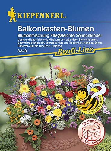 Balkonkasten-Blumenmix Pflegeleichte Sonnenkinder,1 Portion