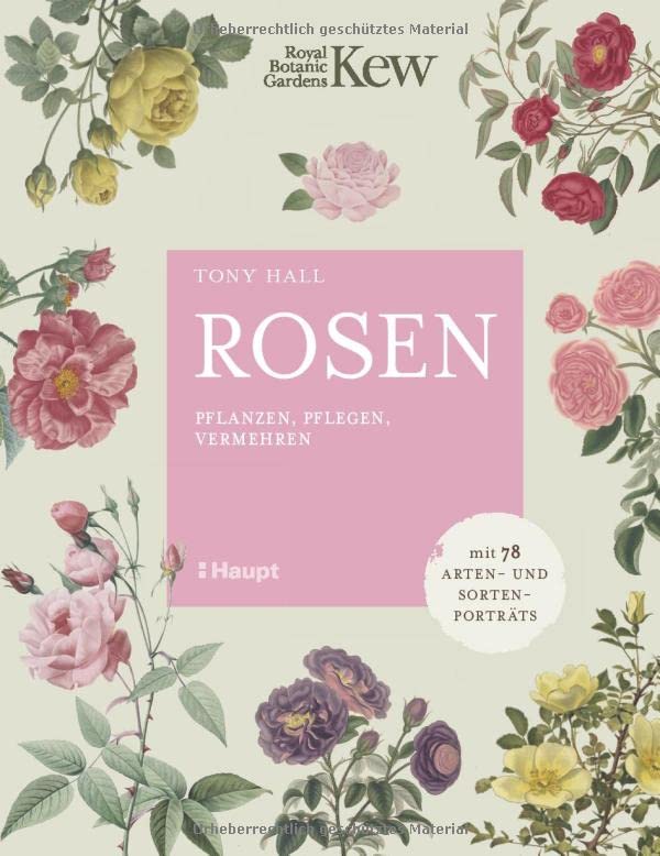 Rosen: pflanzen, pflegen, vermehren - mit 78 Arten- und Sortenporträts