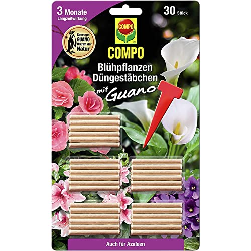 COMPO Blühpflanzen Düngestäbchen mit Guano, Dünger, 3 Monate Langzeitwirkung, 30 Stück