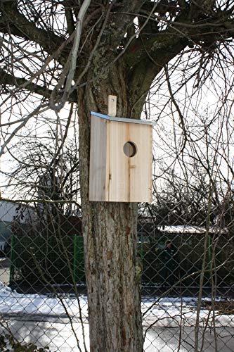 Elmato 10878 Nistkasten Starenkasten aus Holz zum Aufhängen – Natur Vogelhaus für Stare und viele andere Vögel 15x13x28cm