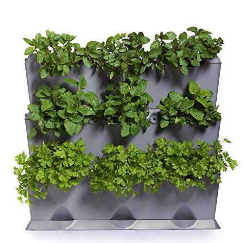 Minigarden Vertical 1 Set für 9 Pflanzen, erweiterbarer vertikaler Garten im Baukastensystem, freistehend am Boden aufstellbar oder zur Wandmontage (Grau)