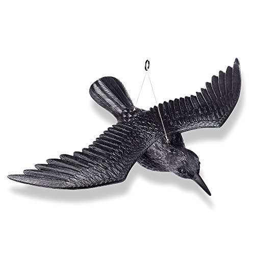 Schramm® Fliegende Krähe schwarz Taubenschreck Vogelschreck Kunststoff Rabe Taubenabwehr Vogelabwehr Vogelscheuche