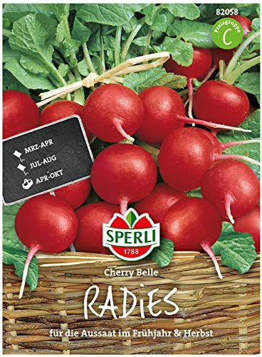 Sperli Premium Radieschen Samen Cherry Belle ; Frühreifend, Mild, dünne Schale ; Radieschen Saatgut