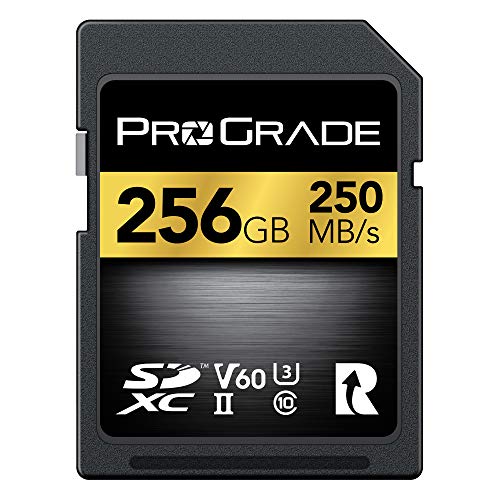 SD UHS-II 256 GB Karte V60 - Schreibgeschwindigkeit bis zu 130MB/s und Lesegeschwindigkeit von 250MB/s | Für professionelle Filmemacher, Fotografen und Kuratoren von Inhalten - von Prograde Digital