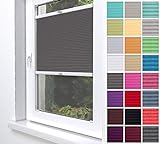 Home-Vision® Premium Plissee Faltrollo ohne Bohren zum Kleben Innenrahmen Blickdicht Sonnenschutz Jalousie für Fenster & Tür (Graphit, B60 x H200cm)