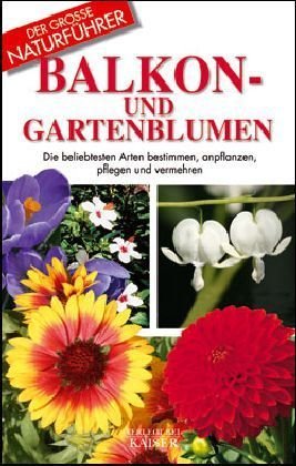 Balkon- und Gartenblumen: Die beliebtesten Arten bestimmen, anpflanzen, pflegen und vermehren