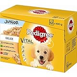 Pedigree Junior in Gelee Multipack 4 x 12x100g Hundefutter