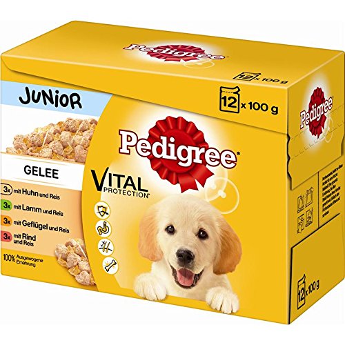 Pedigree Junior in Gelee Multipack 4 x 12x100g Hundefutter