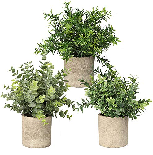 Topcloud 3 Stück Mini-Kunstpflanzen, künstliche Grünpflanzen, Eukalyptus, Rosmarin, Pflanzen für Zuhause, Büro, Tisch, Schlafzimmer, Innen- und Außendekoration