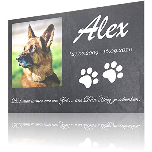 SCHILDER HIMMEL Gedenktafel für Hund & Katze mit Foto Wunschbild und Wunschtext, 21 x 15cm und Größer