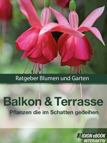 Balkon & Terrasse - Pflanzen die im Schatten gedeihen - Ratgeber Blumen und Garten