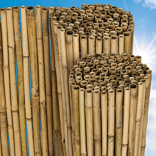 Sol Royal Bambus Sichtschutz Zaun 90x250 cm SolVision B38 - langlebiger & witterungsbeständiger 100% Bambus Sicht Schutz Indoor & Outdoor für Balkon, Terrasse, Garten - Windschutz & Sonnenschutz