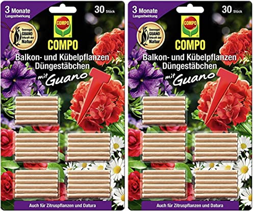 COMPO Blühpflanzen Düngestäbchen mit Guano 2er Pack | Dünger | 3 Monate Langzeitwirkung | 2 x 30 Stück (60 Stück)