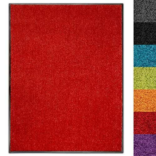 Schmutzfangmatte Use&Wash - Türmatte Sauberlaufmatte Fußabtreter - Fussmatte Teppich - für Flur Eingang Eingangsbereich - rutschfest & waschbar - in vielen Farben (90 x 300 cm, Rot 15)