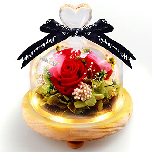 Swonuk Ewige Rose Im Glas Mit Led-Lichtern, Handgemachte Immerwährende Konservierte Rose Hochzeit, Geburtstag, Valentinstag, Muttertag, Jubiläum - Echte Rosen