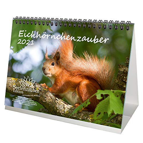 Eichhörnchenzauber DIN A5 Tischkalender für 2021 Eichhörnchen - Geschenkset Inhalt: 1x Kalender, 1x Weihnachts- und 1x Grußkarte (insgesamt 3 Teile)