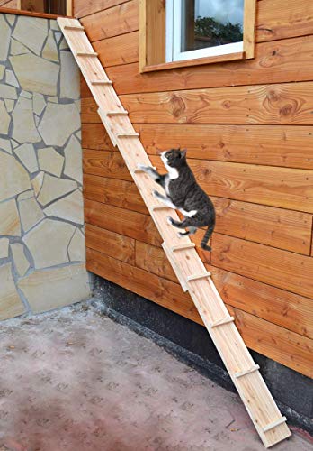Ruhti - Katzentreppe Katzenleiter Katzenstufe für Balkon, Treppe etc.| 1 bis 7 m (3 m)