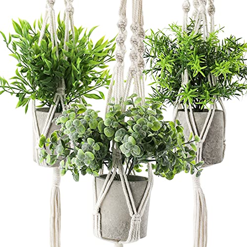 3 Stück Hängende Künstliche Pflanze mit 3 Stück Pflanzenaufhänger Set, Mini Gefälschte Hängepflanze