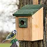 Zooprinz Nistkasten für Wildvögel – Massiv- Holz Vogelhäuschen mit sicherem Schutz gegen Nesträuber – Wetterfest zum aufhängen für draußen – 2 Farben zur Wahl (Nistkasten Grün)