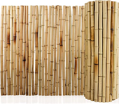 Bambus-Sichtschutzzaun | Vollrohr | Sichtschutz für Balkon, Terrasse oder Garten | Robust und witterungsbeständig | 3 Größen (150 x 250 cm, Natur)