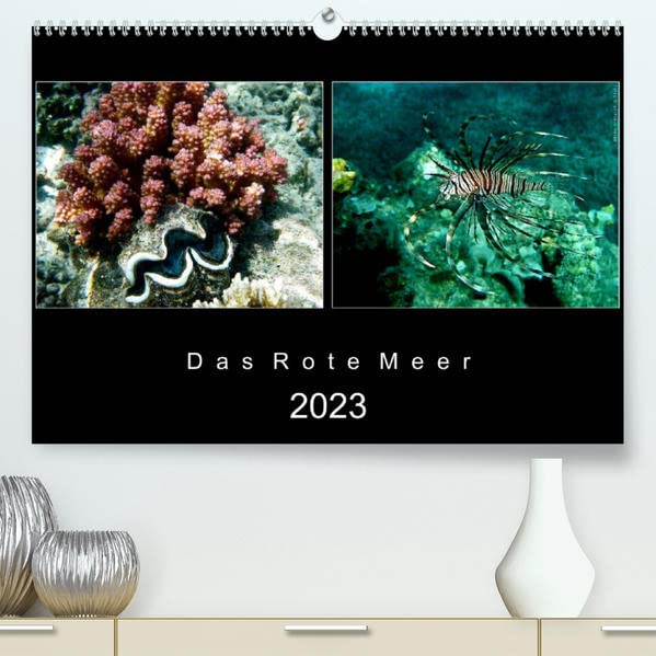 Das Rote Meer – 2023 (Premium, hochwertiger DIN A2 Wandkalender 2023, Kunstdruck in Hochglanz): Bunte Artenvielfalt und Unterwasserlandschaften an den ... (Monatskalender, 14 Seiten ) (CALVENDO Tiere)
