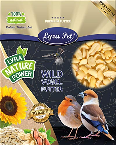 Lyra Pet® 25 kg Erdnusskerne SPLITS HK Südamerika Haut Erdnussbruch Erdnüsse Vogelfutter Wildvogelfutter Ganzjahresfutter Körner